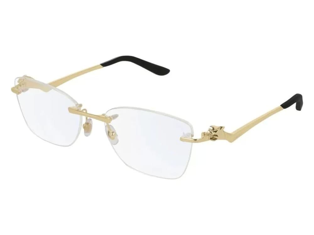Cartier CT0120OA 001