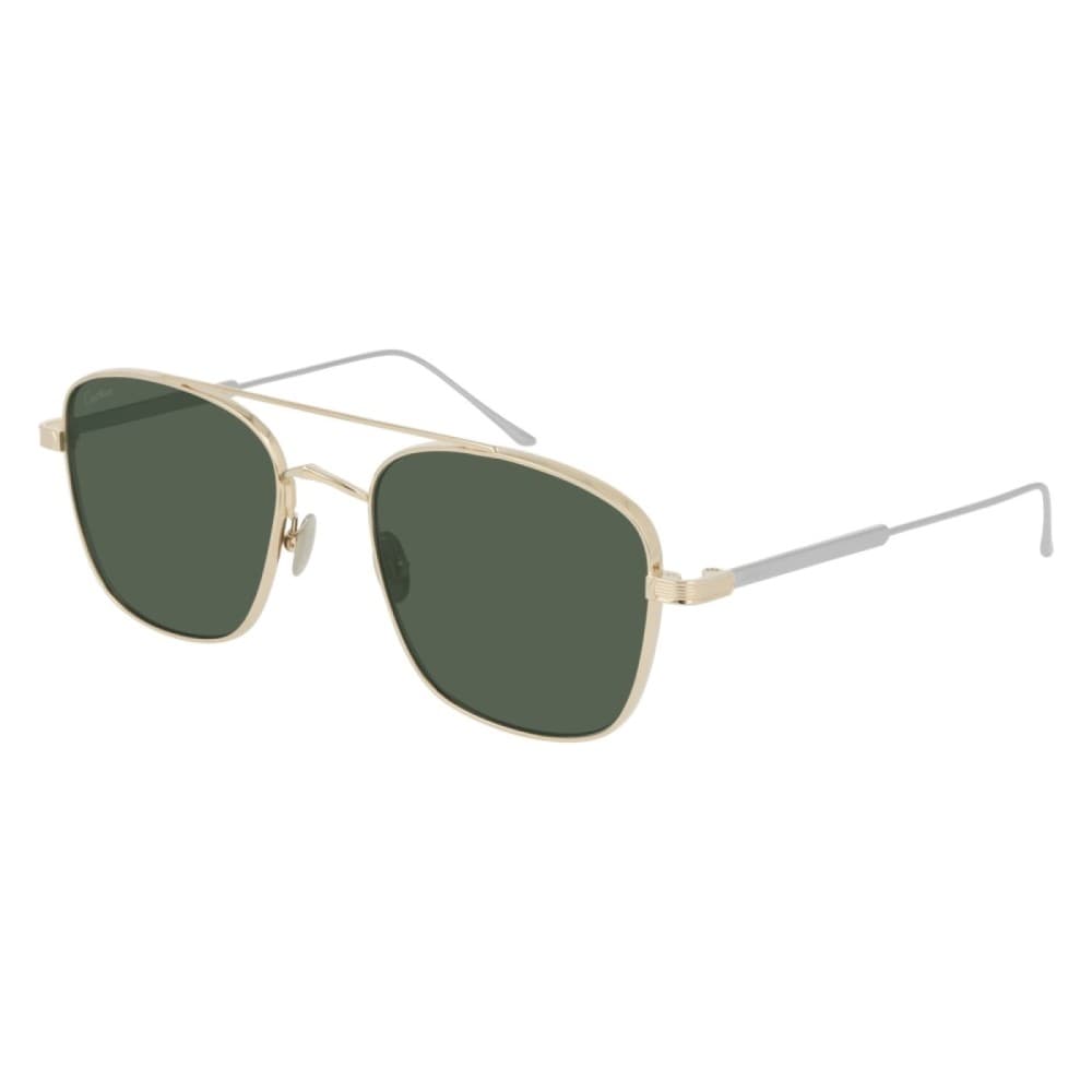 Cartier CT0163S 006