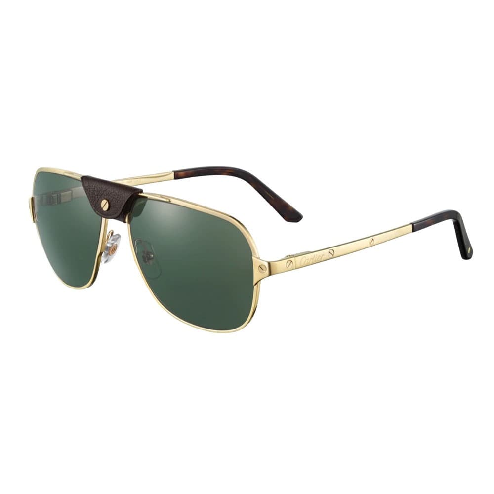 Cartier CT0165S 008