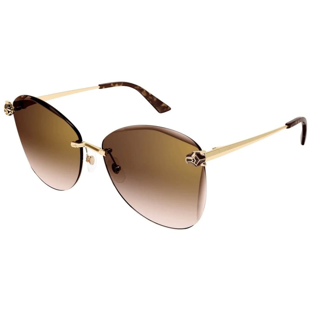 Cartier CT0398S 002