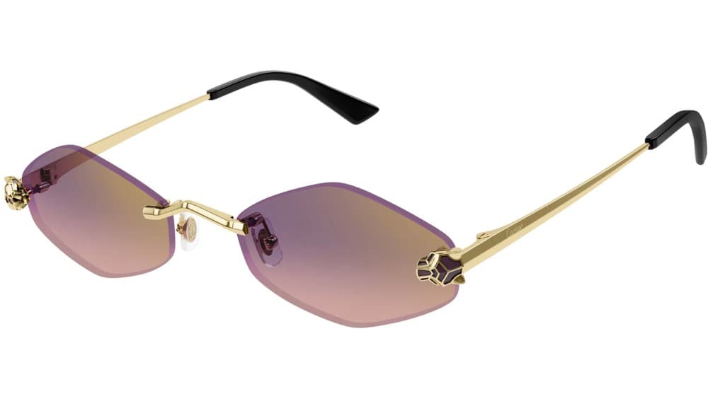 Cartier CT0433S 004