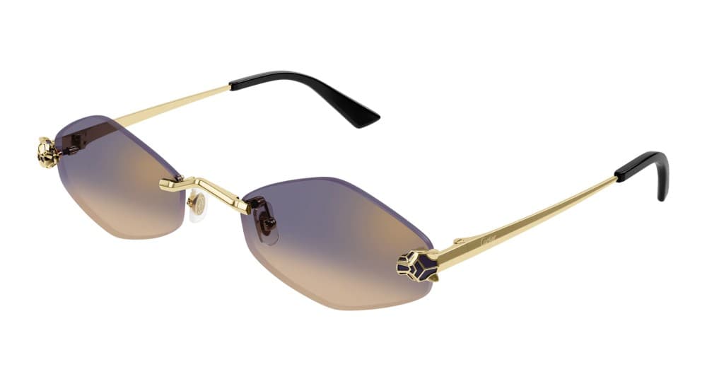 Cartier CT0433S 005