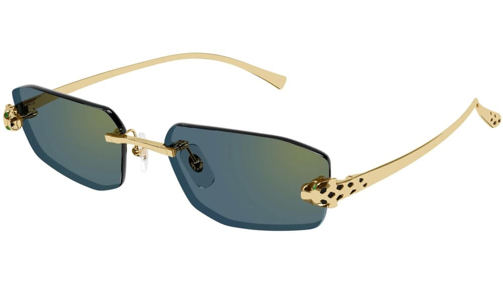 Cartier CT0474S 003