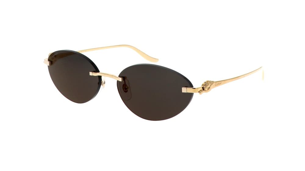 Cartier CT0504S 001