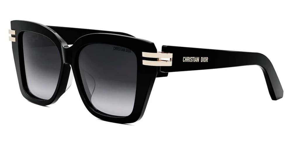Dior CDIOR S1F 10A1 D