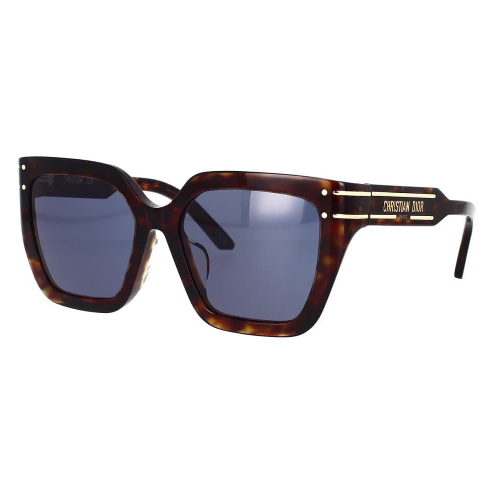 Dior DIORSIGNATURE S10F 20B0 A