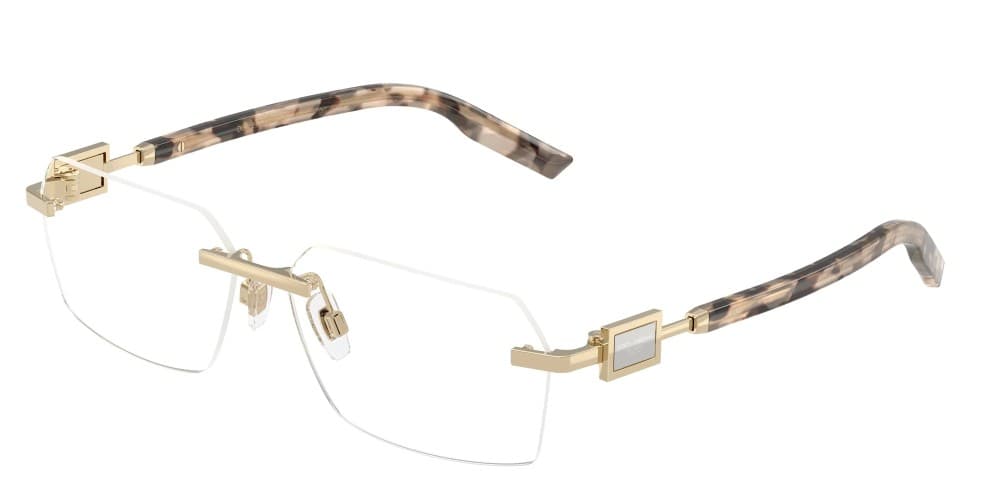 Dolce & Gabbana DG1361 488