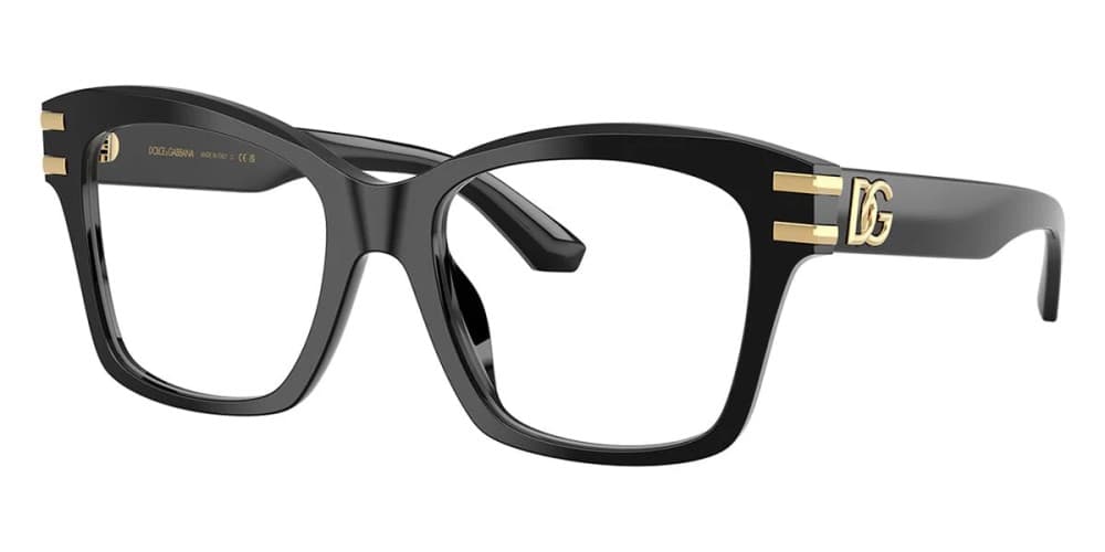 Dolce & Gabbana DG3419 501