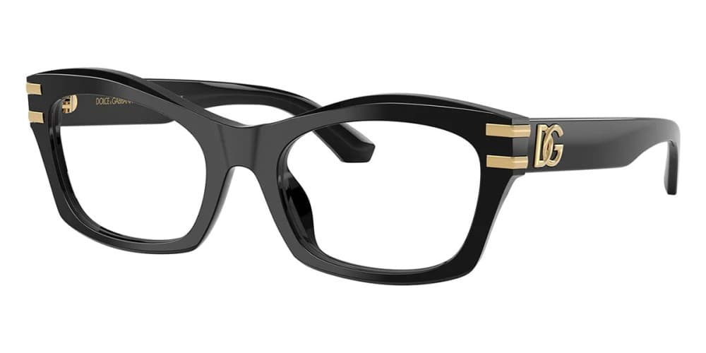 Dolce & Gabbana DG3420 501