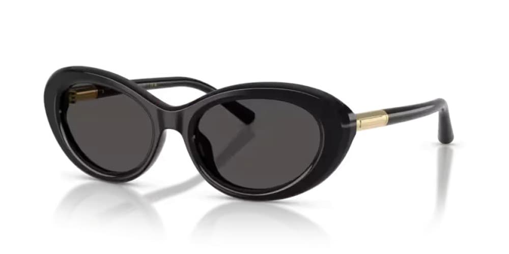 Dolce & Gabbana DG4519 501/87