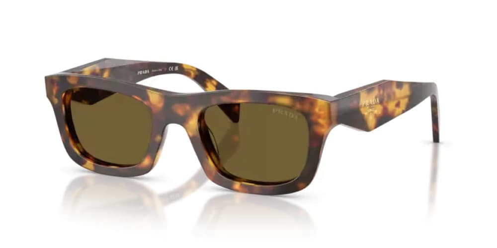 Prada PR C06S